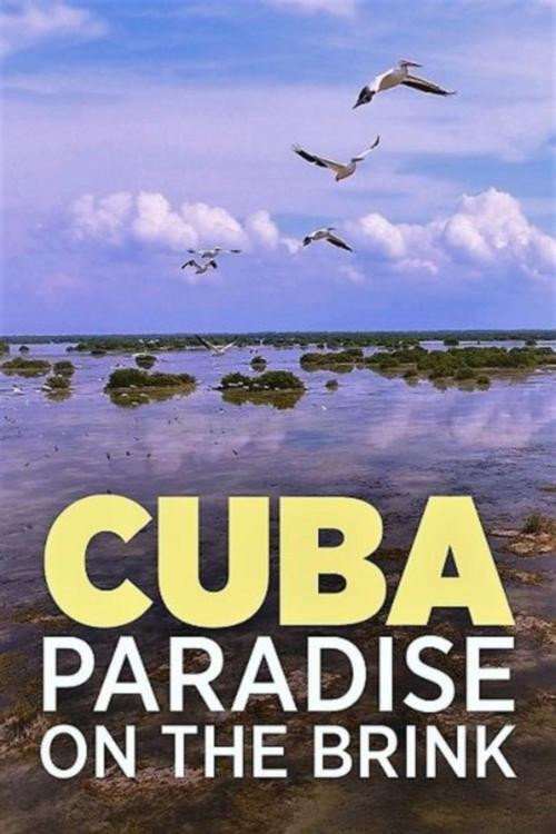 Cuba, A Paradise on the Brink (2017) movie poster