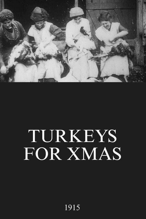 Turkeys for Xmas (1915) movie poster
