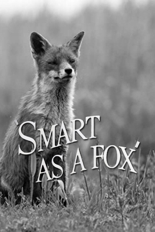 Smart as a Fox (1946) movie poster