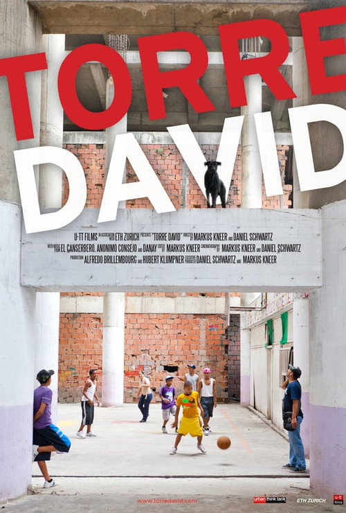 Torre David (2013) movie poster
