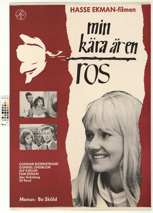 My Love Is Like a Rose (1963) movie poster