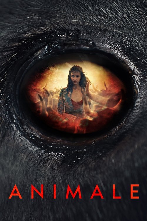 Animale (2024) movie poster