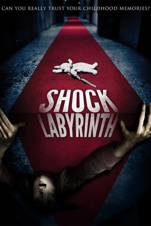The Shock Labyrinth (2009) movie poster