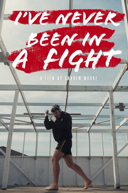 I’ve Never Been in a Fight (2022) movie poster