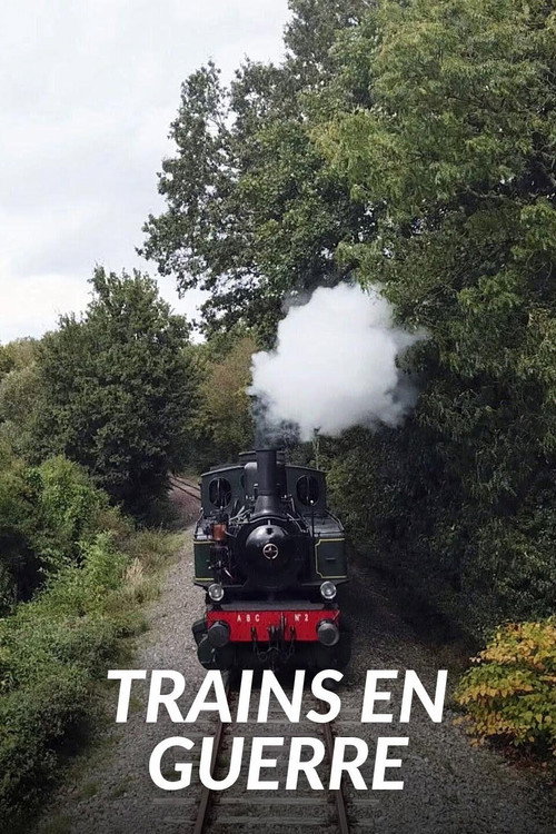 Trains At War (2021) TV show poster