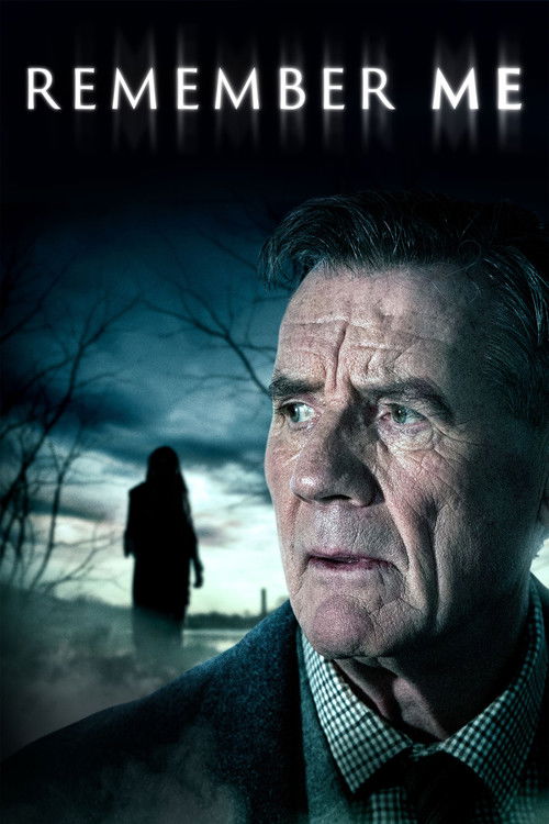 Remember Me (2014) TV show poster