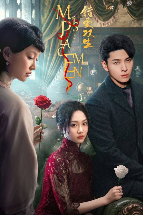 Misplacement (2024) TV show poster