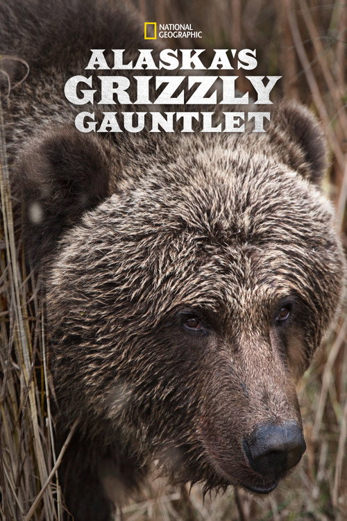 Alaska's Grizzly Gauntlet (2018) TV show poster