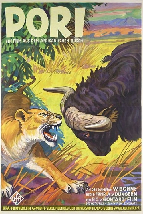 Pori (1929) movie poster