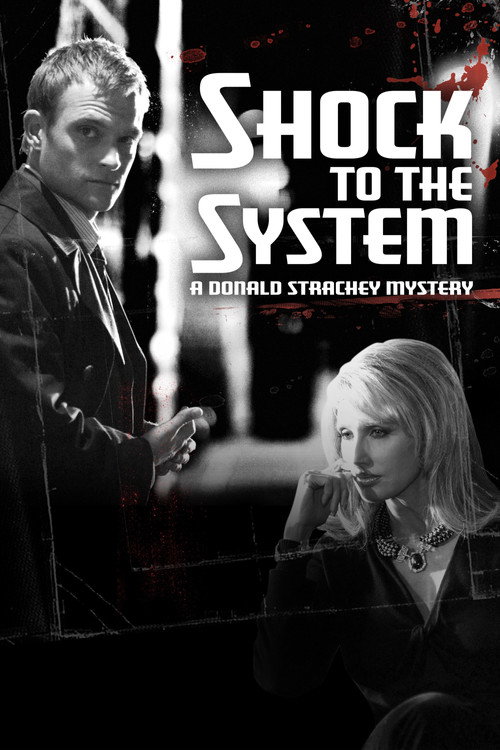 Shock to the System: A Donald Strachey Mystery (2006) movie poster