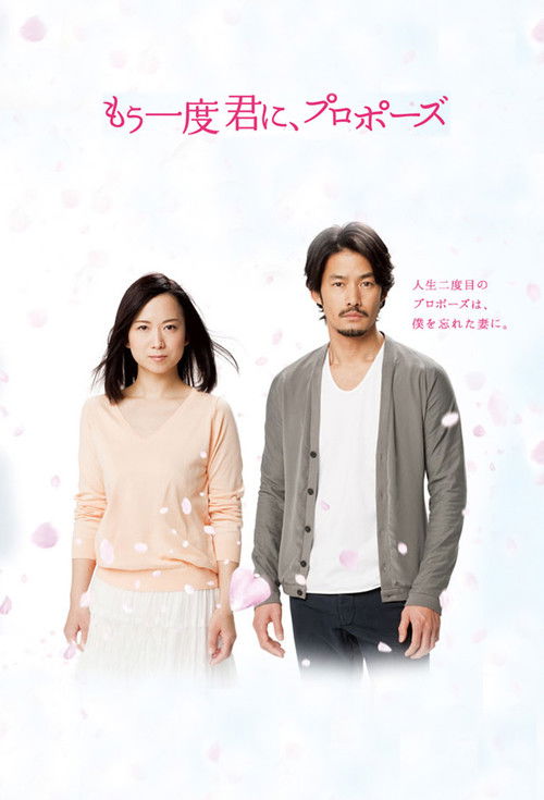 Will You Marry Me…Again? (2012) TV show poster