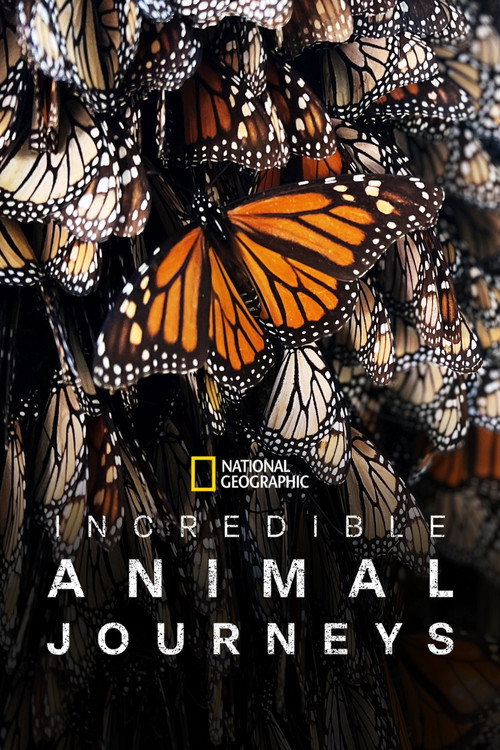 Incredible Animal Journeys (2023) TV show poster