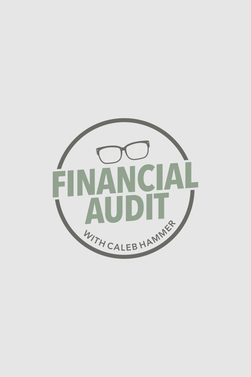 Financial Audit (2022) TV show poster