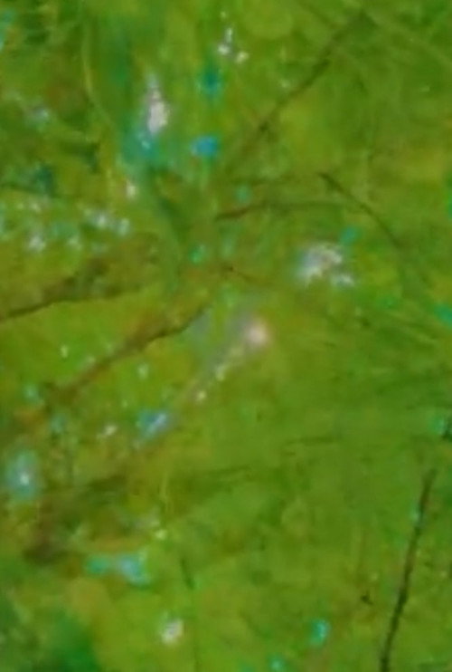 Epistemology: Floating Images and the Search for a Greater Enallage movie poster