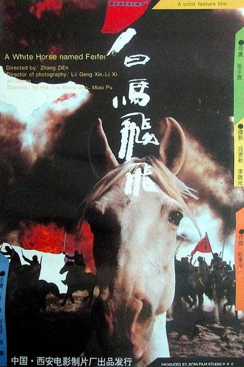 Feifei (1996) movie poster