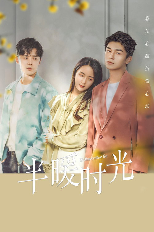 The Memory About You (2021) TV show poster