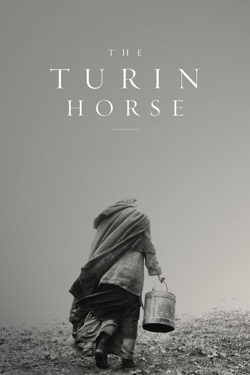 The Turin Horse (2011) movie poster