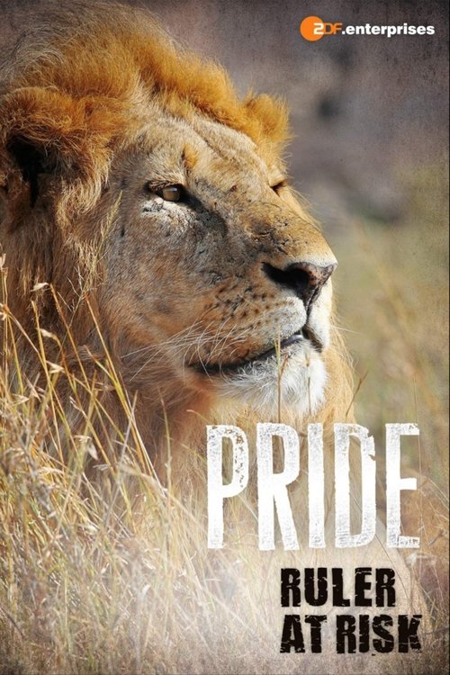 Pride Ruler at Risk (2016) movie poster
