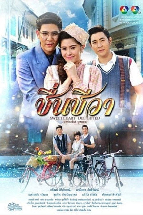 Sweetheart Delighted (2016) TV show poster