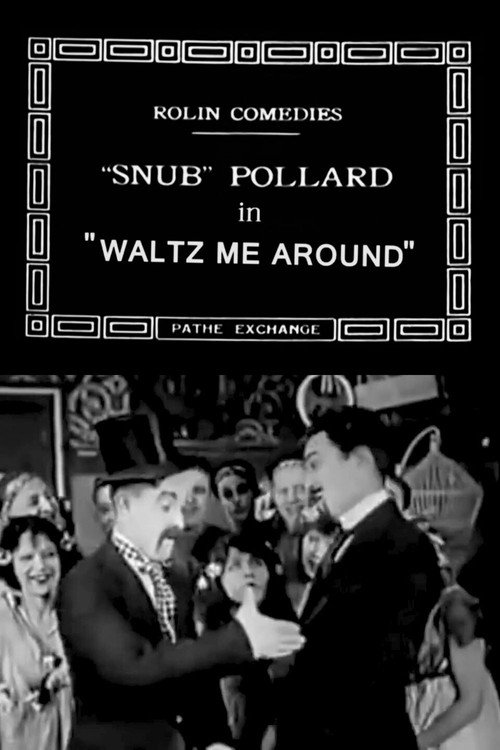 Waltz Me Around (1920) movie poster