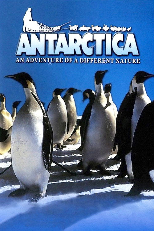 Antarctica: An Adventure of a Different Nature (1991) movie poster
