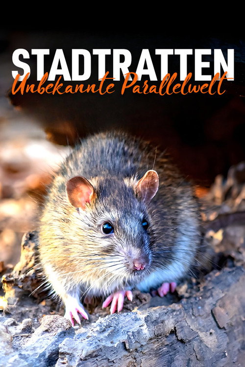 Stadtratten - Unbekannte Parallelwelt (2023) movie poster