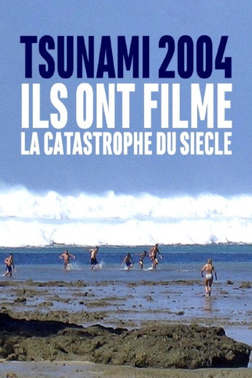 Tsunami 2004 : ils ont filmé la catastrophe du siècle (2020) movie poster