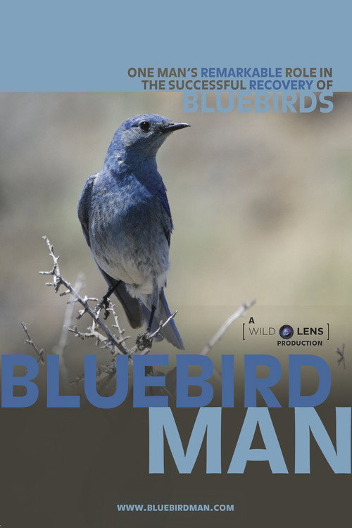 Bluebird Man (2014) movie poster