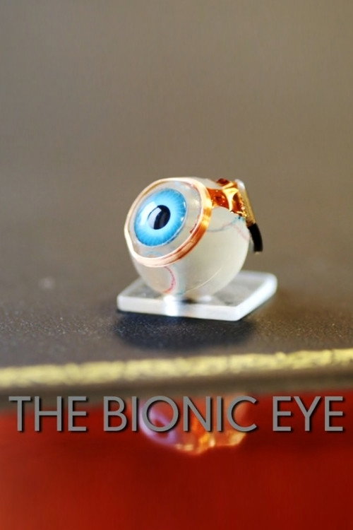 The Bionic Eye (2012) movie poster