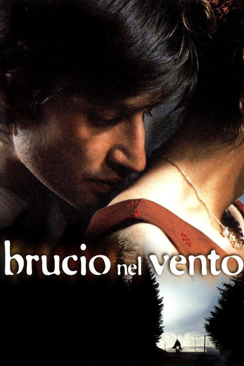 Brucio nel vento (2002) movie poster