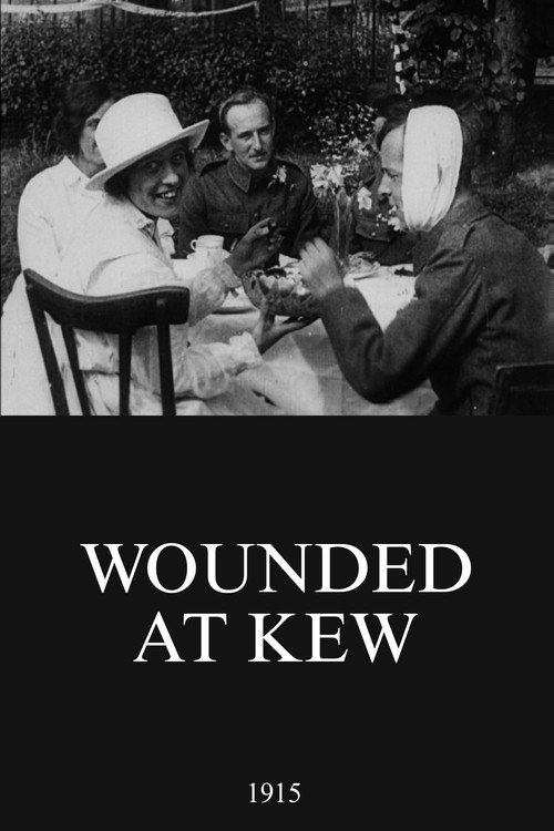 Wounded at Kew (1915) movie poster
