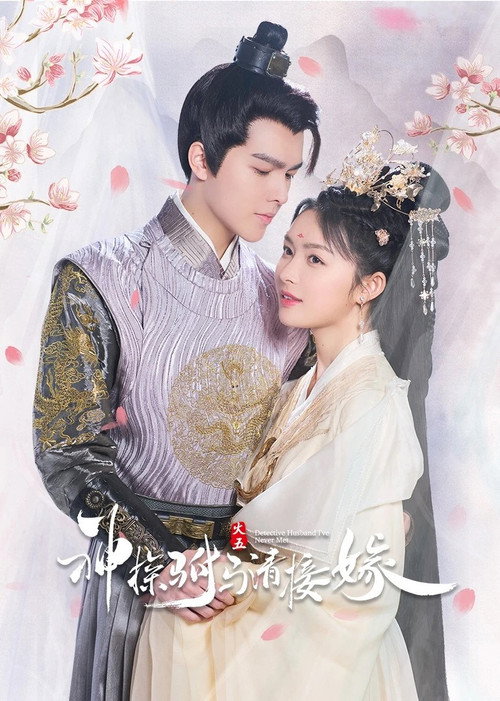 Detective Husband I've Never Met (2022) TV show poster