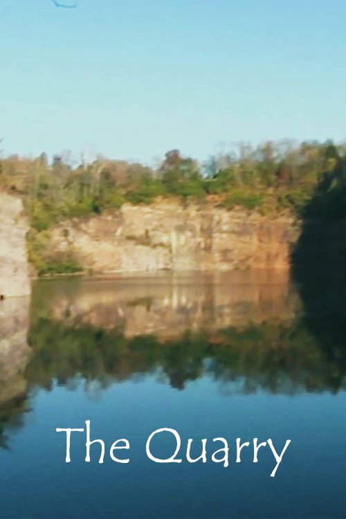 The Quarry (2011) movie poster