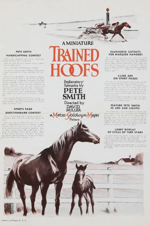 Trained Hoofs (1935) movie poster