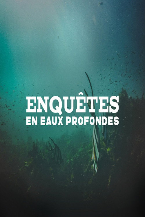 Enquêtes en eaux profondes (2017) TV show poster