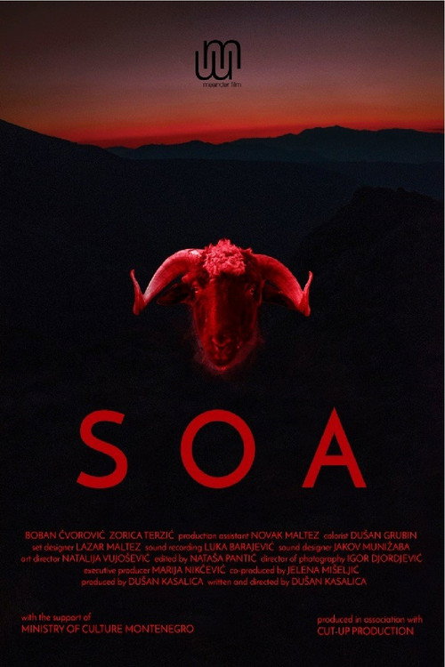 Soa (2017) movie poster
