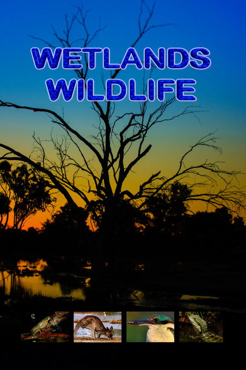 Wetlands Wildlife (2022) movie poster