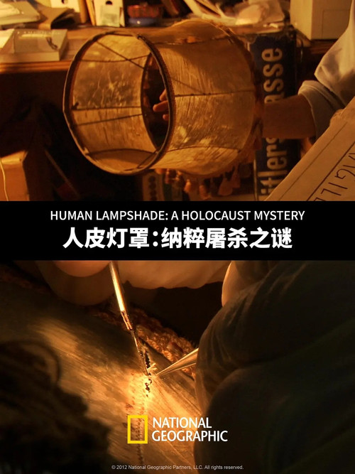 Human Lampshade: A Holocaust Mystery (2012) movie poster
