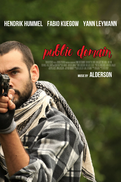 Public Domain (2020) movie poster