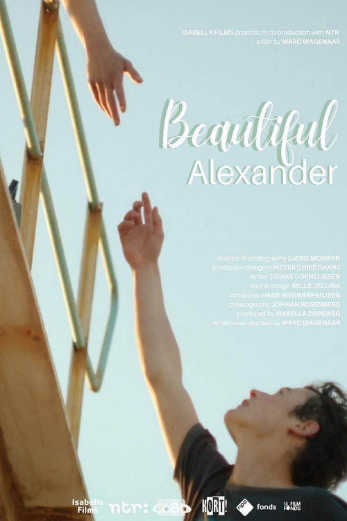 Beautiful Alexander (2019) movie poster