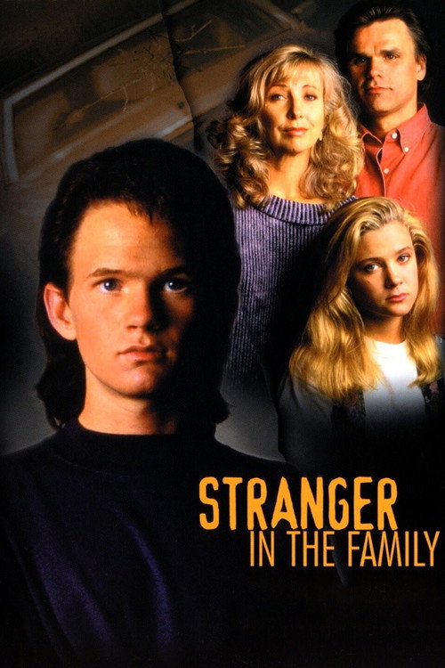 Stranger in the Family (1991) movie poster