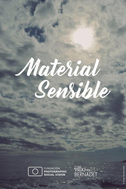 Material sensible movie poster