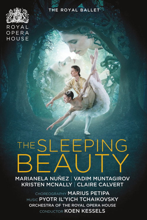The Sleeping Beauty (2017) movie poster