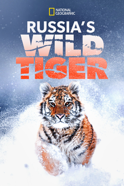 Russia's Wild Tiger (2022) movie poster