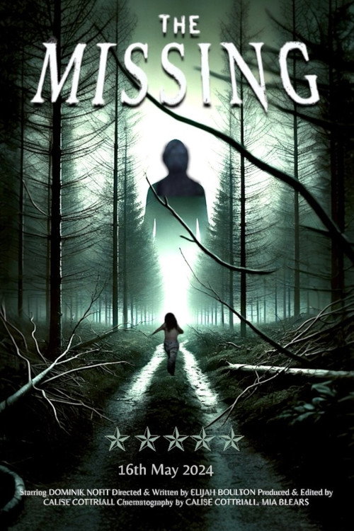 The Missing movie poster