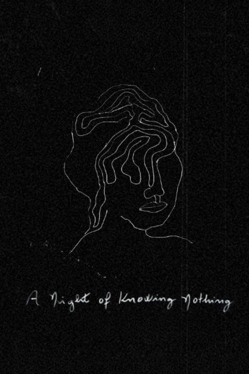 A Night of Knowing Nothing (2022) movie poster