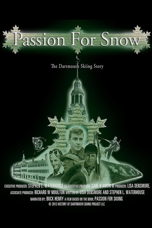 Passion for Snow (2013) movie poster