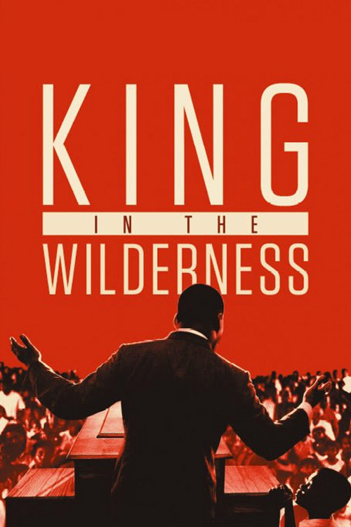 King in the Wilderness (2018) movie poster