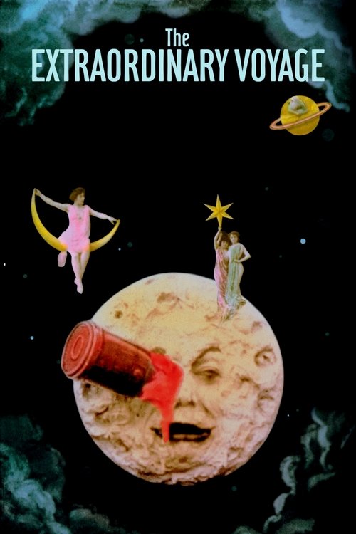 The Extraordinary Voyage (2011) movie poster