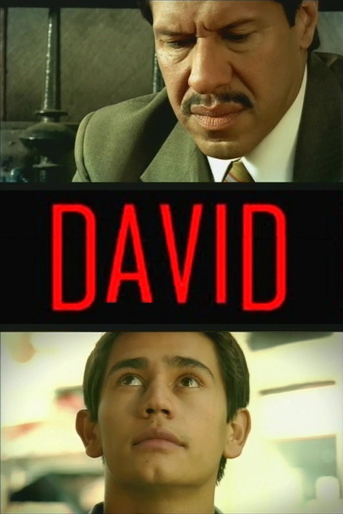 David (2005) movie poster